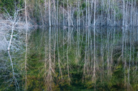 MinkRSpring-40