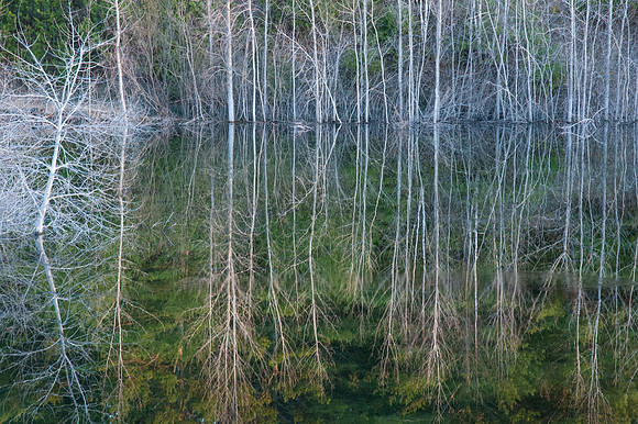 MinkRSpring-40