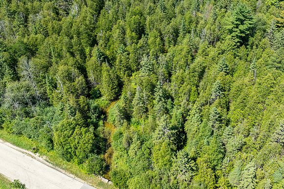 Hibbards Creek Fairview Drone-8
