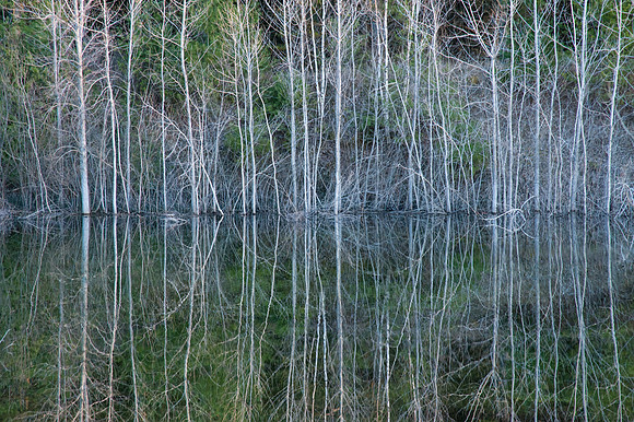 MinkRSpring-49