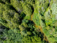 Hibbards Creek Fairview Drone-4