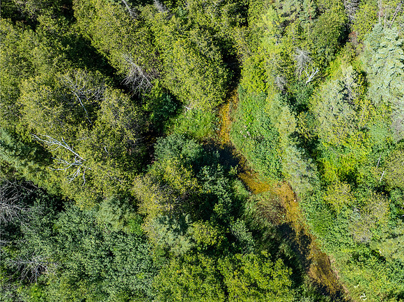 Hibbards Creek Fairview Drone-4