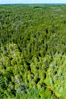Hibbards Creek Fairview Drone-9