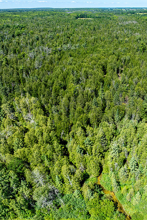 Hibbards Creek Fairview Drone-9