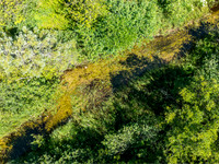 Hibbards Creek Fairview Drone-6