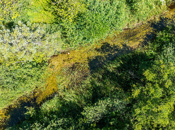 Hibbards Creek Fairview Drone-6
