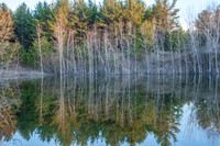 MinkRSpring-61