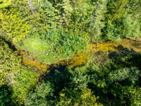 Hibbards Creek Fairview Drone-3