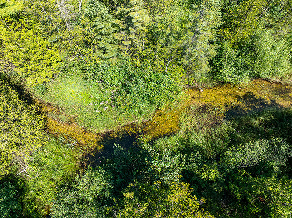 Hibbards Creek Fairview Drone-3