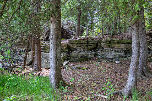 Booes Bluff-86