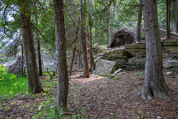 Booes Bluff-88