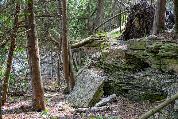 Booes Bluff-89