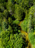 Hibbards Creek Fairview Drone-2