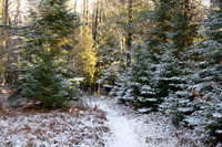 Ship Canal Preserve-4