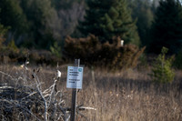 Three Springs-10