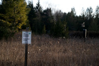 Three Springs-12