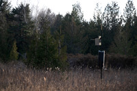 Three Springs-14