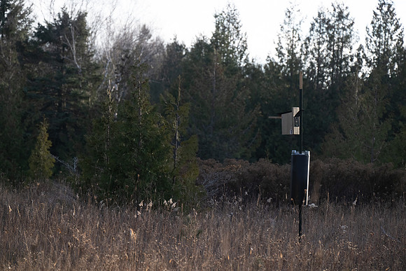 Three Springs-14