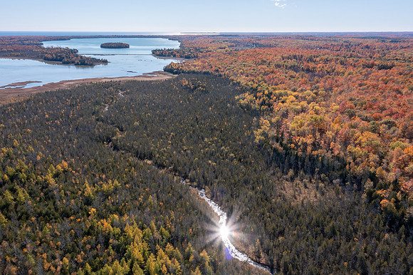DCLT Kangaroo Lake Preserve Fall Drone 2022 Dan Eggert-11