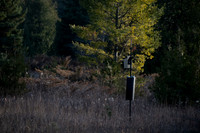 Three Springs-18