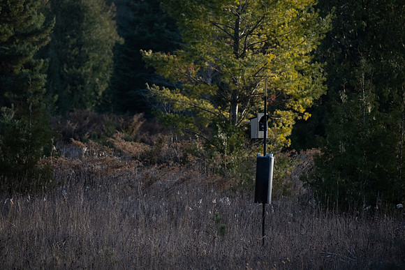 Three Springs-18