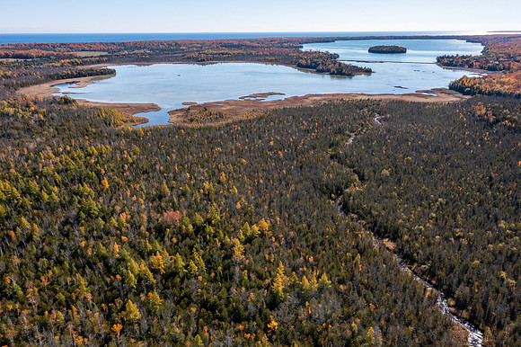 DCLT Kangaroo Lake Preserve Fall Drone 2022 Dan Eggert-12