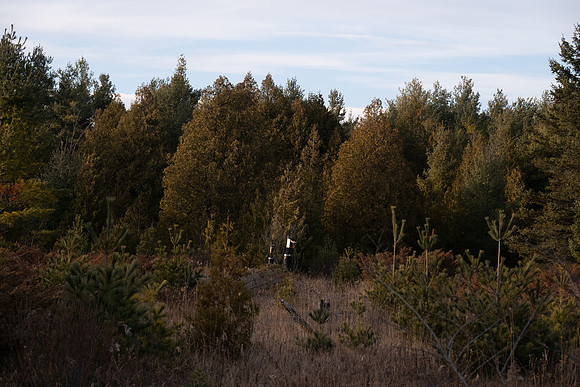 Three Springs-33