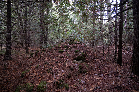Three Springs-41