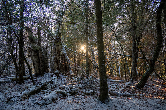 Ship Canal Preserve-105-HDR