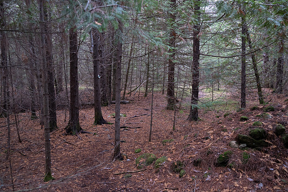 Three Springs-48