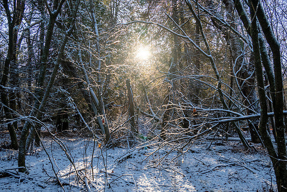Ship Canal Preserve-115-HDR