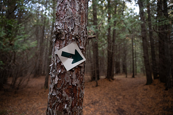 Three Springs-52