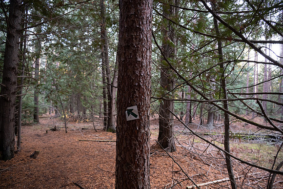 Three Springs-55