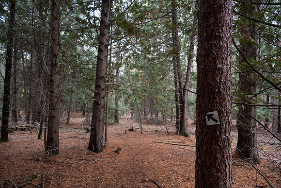 Three Springs-65