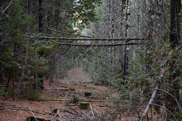 Three Springs-66