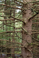0913Ridges-5
