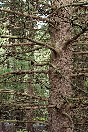 0913Ridges-5