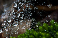 0913Ridges-52