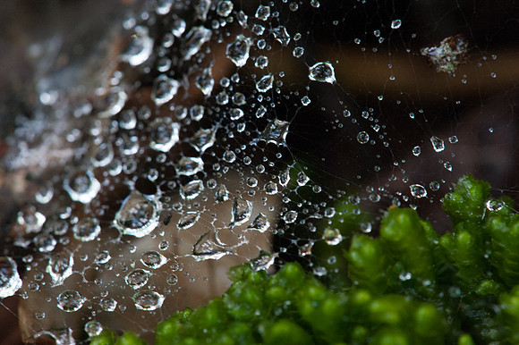 0913Ridges-52
