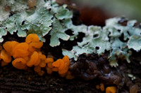 0913Ridges-65