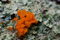 0913Ridges-66