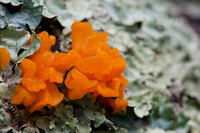 0913Ridges-68
