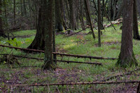0913Ridges-84
