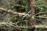 0913Ridges-128