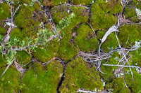 0913Ridges-135