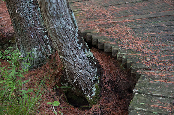 0913Ridges-202