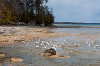 NewSpring-60
