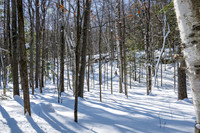 Potawatomi State Park Ice Shantys Quary-15