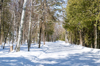 Potawatomi State Park Ice Shantys Quary-14