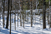 Potawatomi State Park Ice Shantys Quary-16